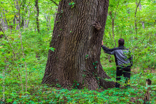 Man by an old big tree in green forest