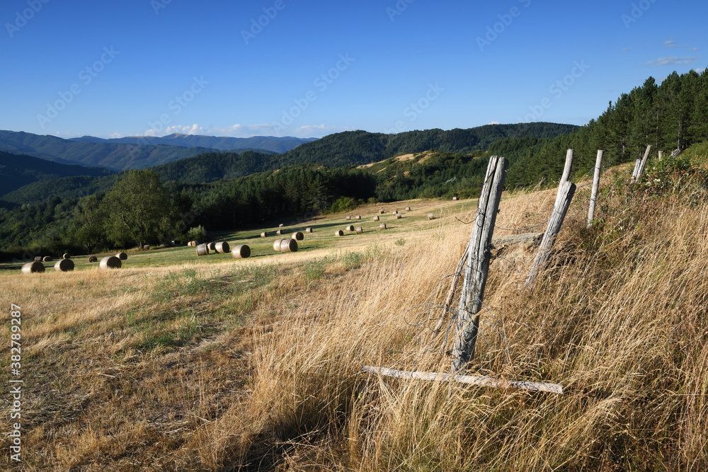 Appennines mountains near Arezzo. Bales of hay on a beveled field. Tuscany landscape. Italy.