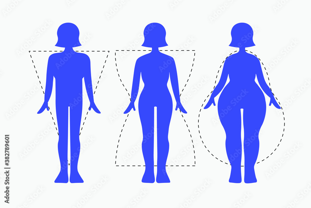 Silhouettes of various types of female figures. Female body types. Body