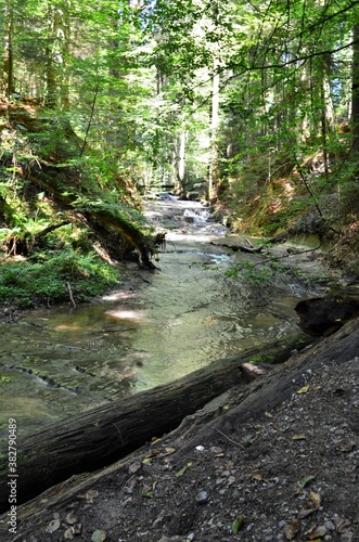 idyllischer Wanderweg