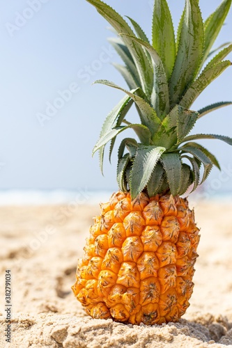 pineapple on the beach