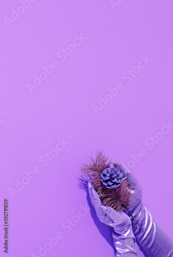 Stylish minimalist still life scene hand in vintage gloves holding spruce branch in isometric violet space. .Holidays, parties, new year, christmas concept