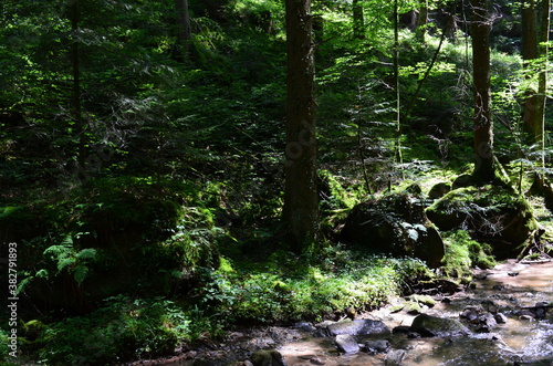 idyllischer Wanderweg