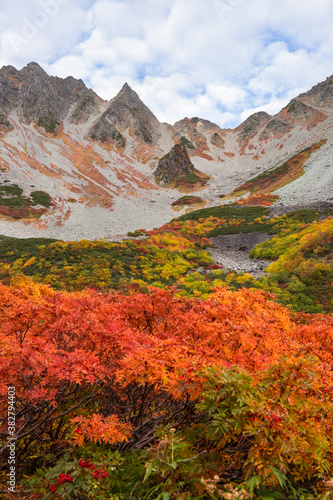 ダケカンバやナナカマドでカラフルに色づく涸沢カールの紅葉風景