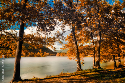 Autumn colors in the wood with lake, long time exposure photo