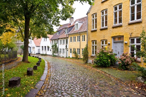 Colorful houses in line along a path with flowers, green trees in autumn in Flensburg, Germany.