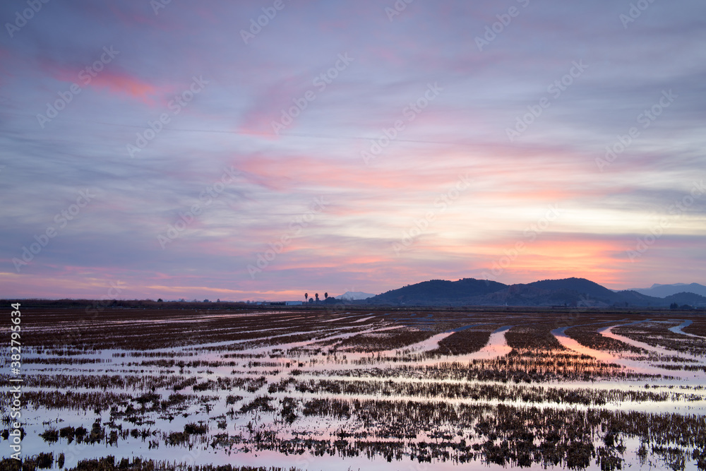 Obraz premium Bello atardecer en los humedales cercanos a la población de La Llosa, en la provincia de Castellón. Comunidad Valenciana. España