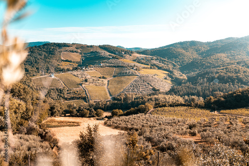 Tuscany, vineyards in autumn. Italy