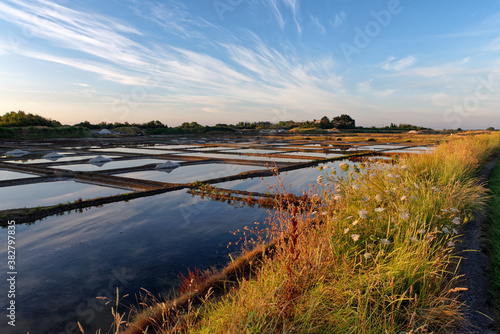 Canvas Print Salt marshes in Guerande peninsula
