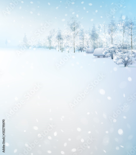Vector winter scene with forest and houses. Winter landscape.