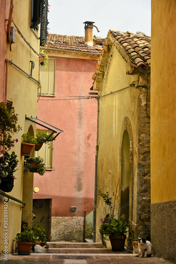 A narrow street among the old houses of Mirabello Sannitico, a medieval village in the province of Campobasso, Italy A narrow street among the old houses of Mirabello Sannitico, a medieval village in the province of Campobasso, Italy