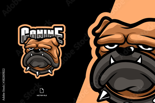 bulldog mascot logo character cartoon