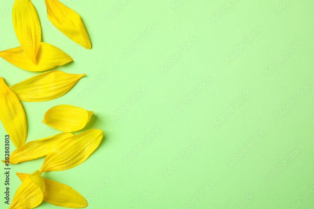 Fresh yellow sunflower petals on green background, flat lay. Space for text