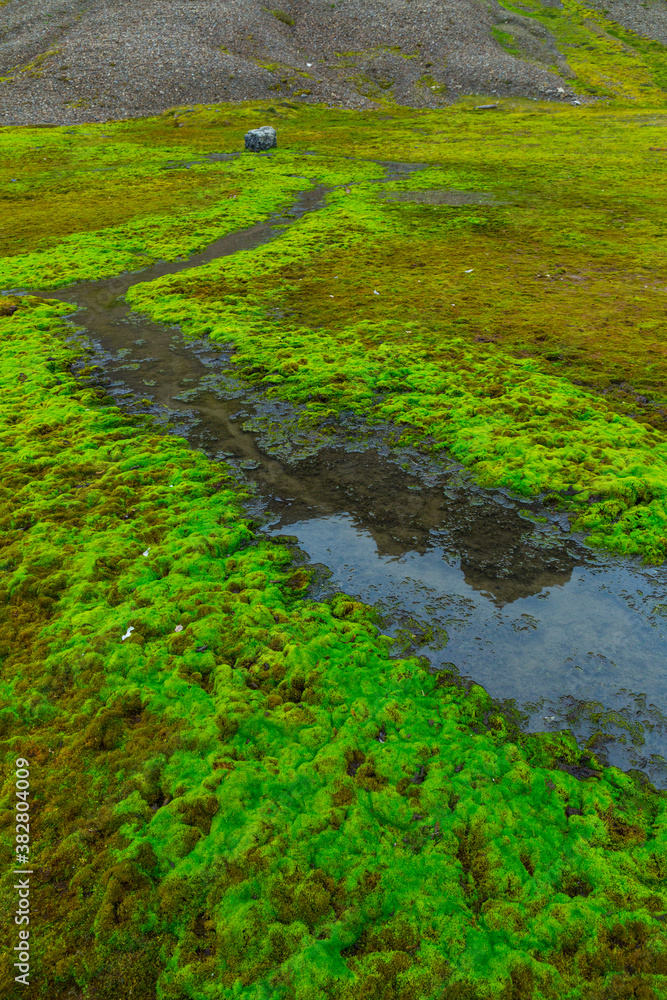 Billefjorden, Svalbard Islands, Artic Ocean, Norway, Europe Billefjorden, Svalbard Islands, Artic Ocean, Norway, Europe