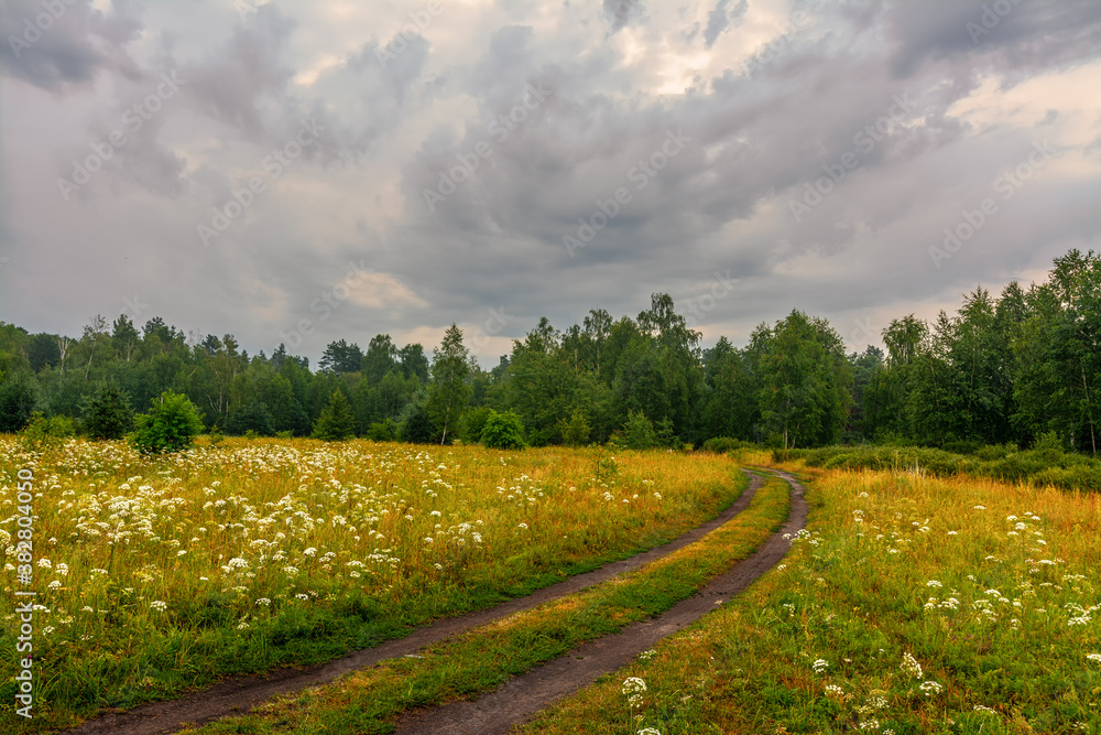 Obraz premium A scenic road that runs through meadows and along the forest. Countryside. Hiking.