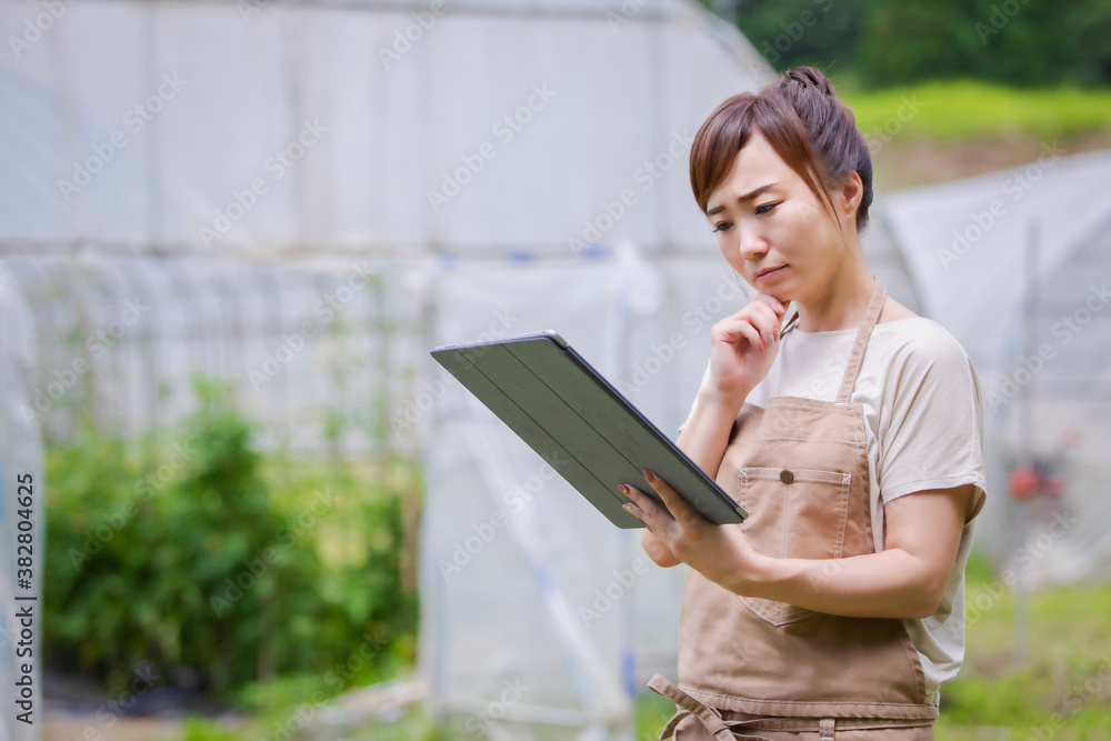 Obraz premium タブレットPCで農業をする
