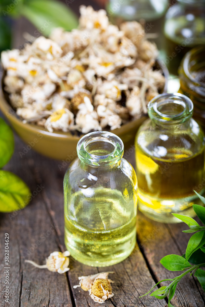Essential oil in glass bottle with dried chamomile flowers. essential oils and medical flowers herbs. Essential oil in glass bottle with dried chamomile flowers. essential oils and medical flowers herbs.