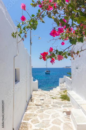 Fototapeta Naklejka Na Ścianę i Meble -  Beautiful alley in Faros village, Sifnos, Cyclades islands, Greece.