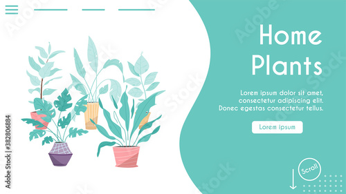 Potting trees, flowerpots hanging, plants in pots set isolated objects