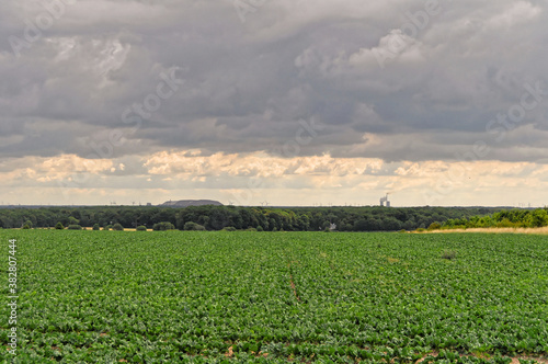  Hannover - Kronsberg Landschaft