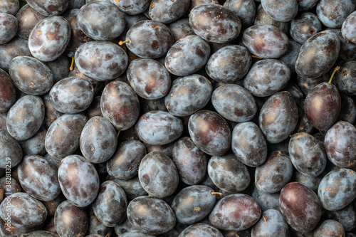 Texture background of fresh blue plums, close up