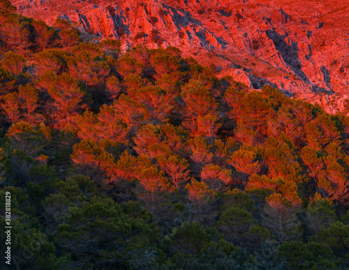 Sierra de las Nieves National Park, Málaga, Andalusia, Spain, Europe