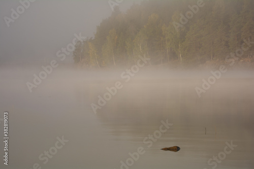 Lake in fog with trees in the background