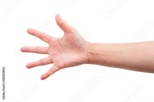 female hand isolated on white background