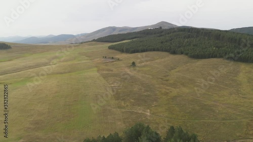 Wallpaper Mural Aerial view of zlatibor mountain landscape with pine forest in morning Torontodigital.ca