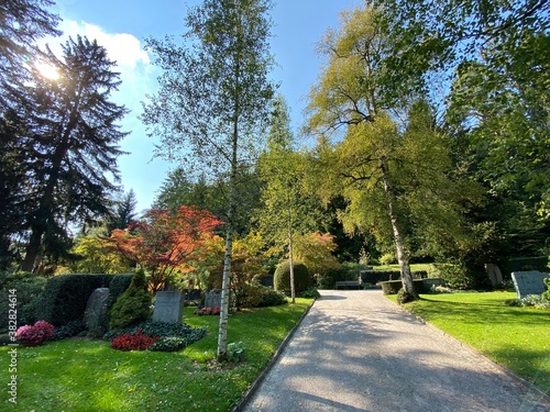 Park at the cemetery Fluntern or Graveyard / Der Friedhof Fluntern, Zürichberg (Zuerichberg) district - Zürich (Zuerich or Zurich), Switzerland / Schweiz photo