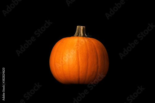 One small orange pumpkin lighten by dramatic studio light isolated on dark background.