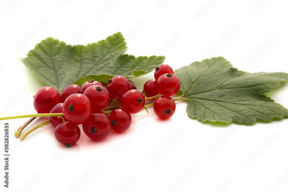 Groseilles Groseilles