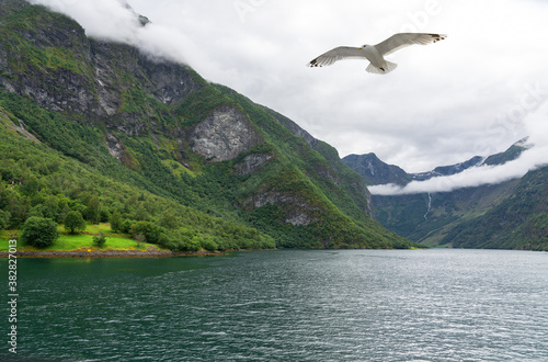 Sea fjord landscape view. Sognefjord, Norway