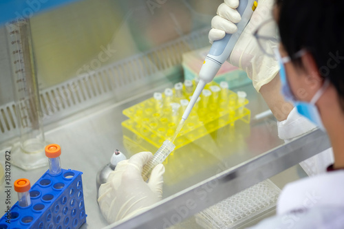 Фотография Asia scientist wears a glove and used a micropipette and transfer sample into a tube in the biosafety hood