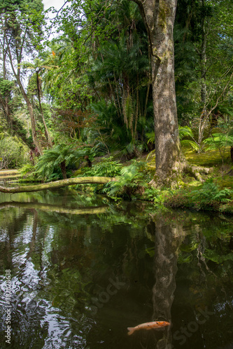 Walk on the Azores archipelago. Discovery of the island of Sao Miguel, Azores. Furnas