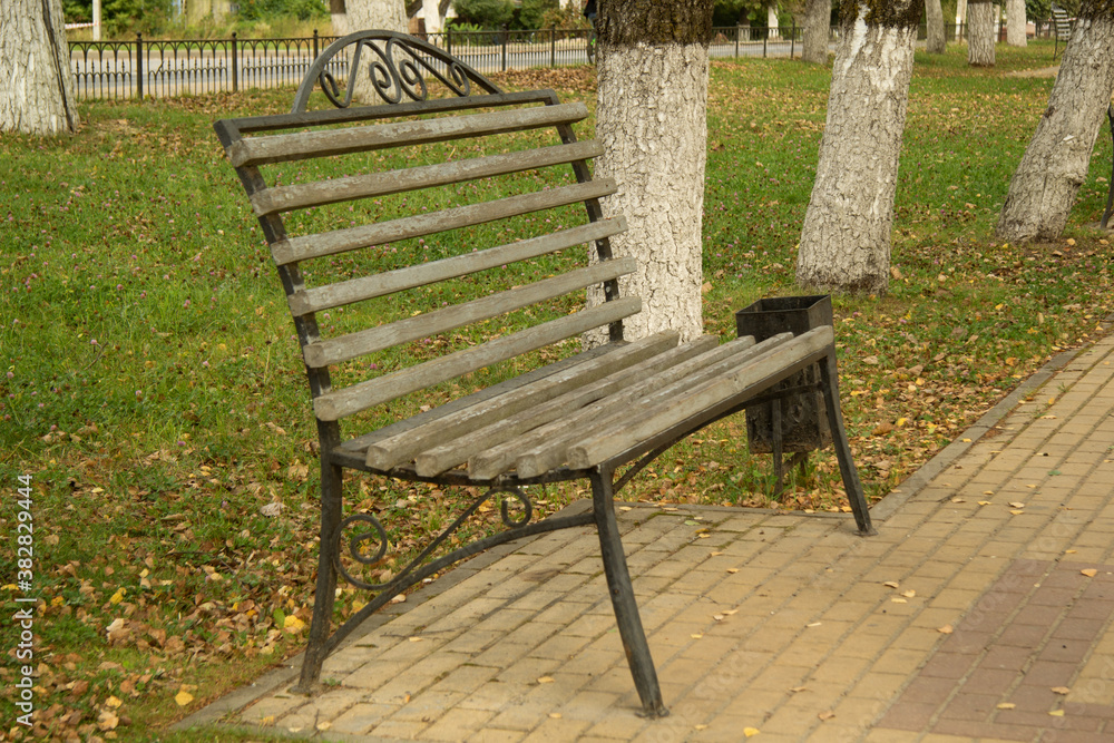 Iron bench with wooden slats in early autumn in the park near the road. Nearby is a black iron trash can Iron bench with wooden slats in early autumn in the park near the road. Nearby is a black iron trash can
