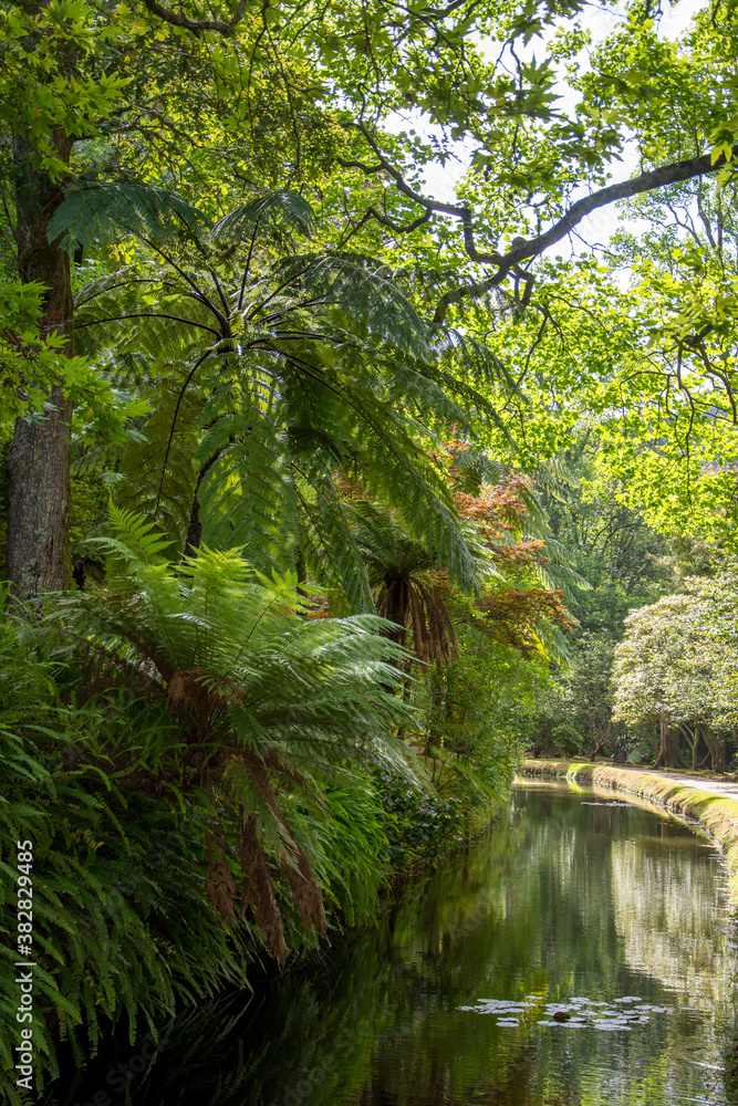 Obraz premium Walk on the Azores archipelago. Discovery of the island of Sao Miguel, Azores. Furnas