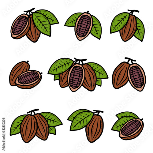 Cacao beans set. Collection cacao beans icons. Vector 