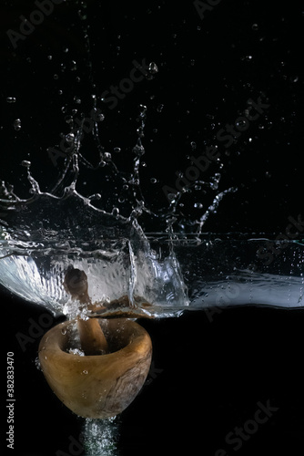 Wooden mortar and pestle, immersed in water, on black background	