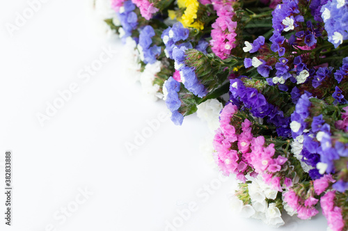 Multicolored, small flowers of limonium on a white background.