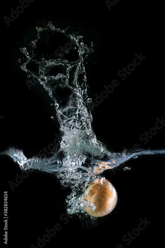Onion immersed in water, on black background 