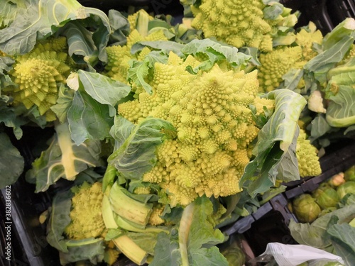 Close up on a romanesco cabbage and its beautiful geometric structure	