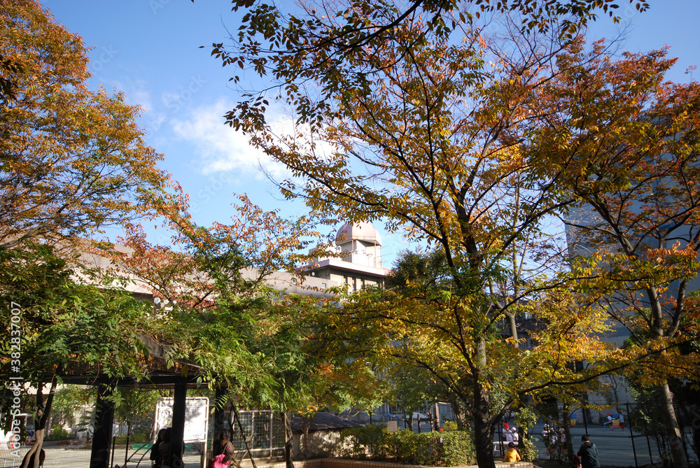 Naklejka premium 蛎殻町公園（東京都中央区日本橋蛎殻町）