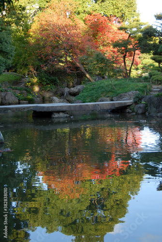 清澄庭園（東京都江東区清澄）