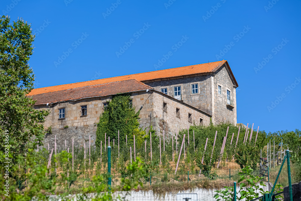 View of the main facade of a farmhouse with vineyards around on Lamego downtown
