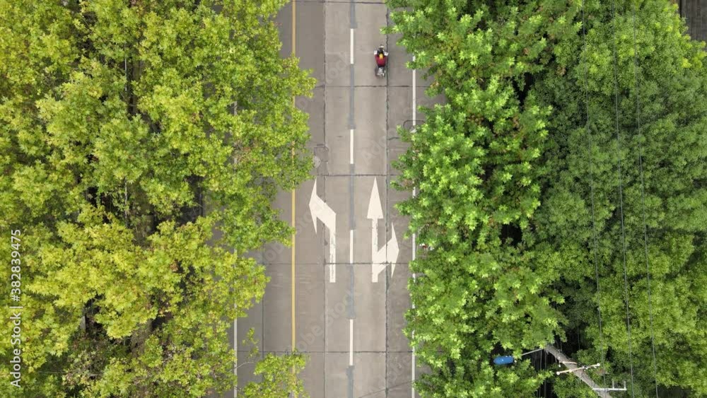 Drone aerial view of road with forest and trees along the road with few cars and passengers. The city street with road marks surround by green plants. Calm chill cozy B roll footage Shanghai China Drone aerial view of road with forest and trees along the road with few cars and passengers. The city street with road marks surround by green plants. Calm chill cozy B roll footage Shanghai China