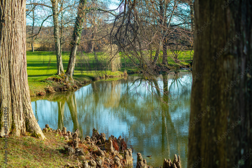 Overview between the trees, the lakeside and its reflections Overview between the trees, the lakeside and its reflections