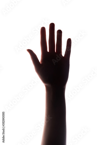 Hand silhouette. Voting right. Female arm reaching up isolated on white copy space background. Help support. Ambition confidence. Success independence.
