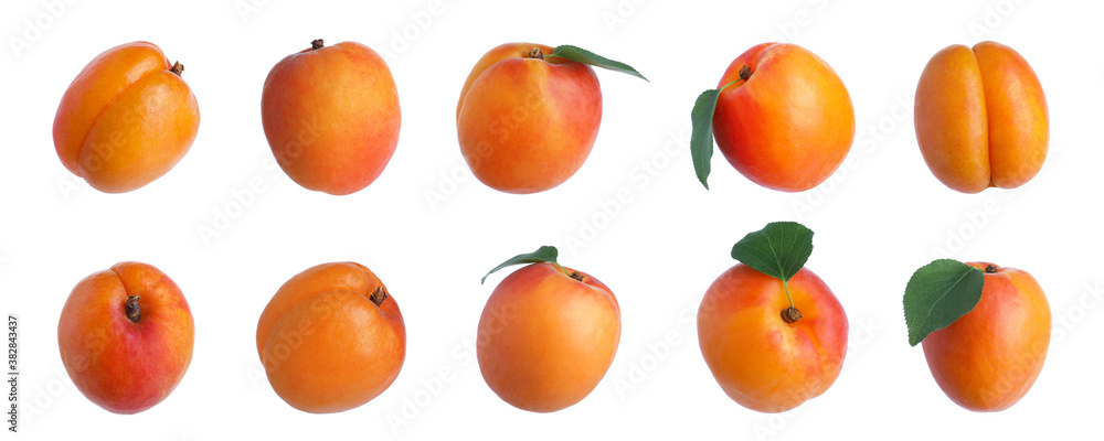 Set of fresh ripe apricots on white background. Banner design Set of fresh ripe apricots on white background. Banner design