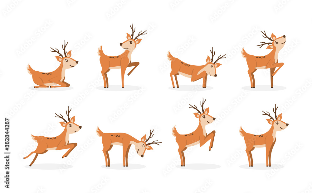 Set of deer.